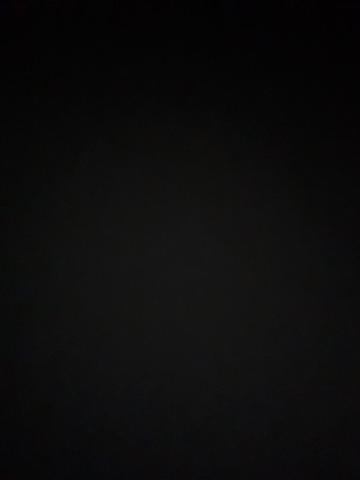 Лилия Завораживающая фото 2